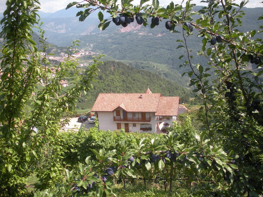Вилла Agritur Maso Pomarolli Giovo Экстерьер фото